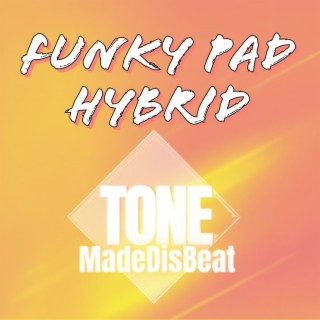 Funky Pad Hyrbid (Instrumental)