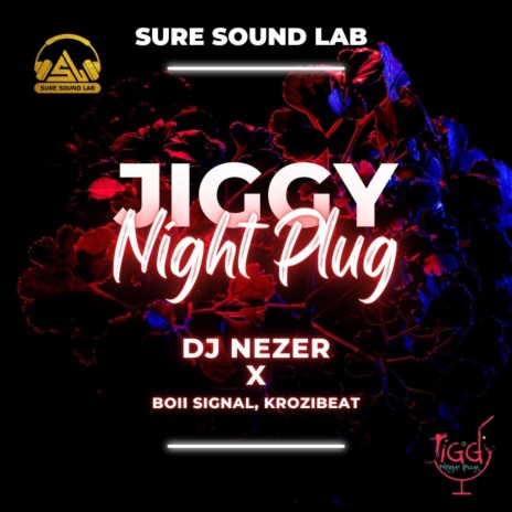 Jiggy Night Plug (JNP) ft. boii signal & krozibeat | Boomplay Music