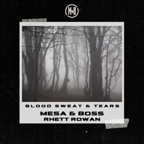 Blood, Sweat & Tears (Extended Mix) | Boomplay Music