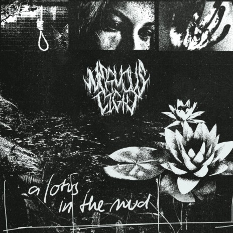 A Lotus In The Mud | Boomplay Music