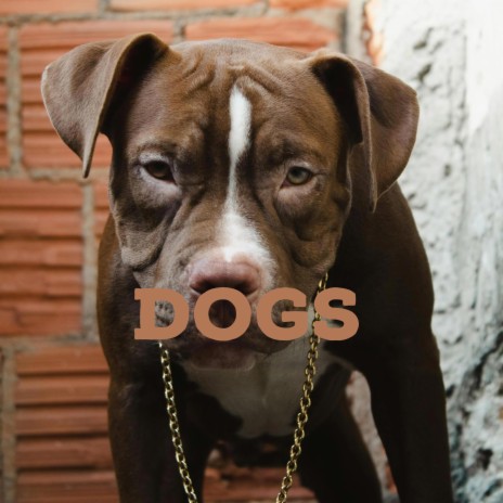Dogs | Boomplay Music