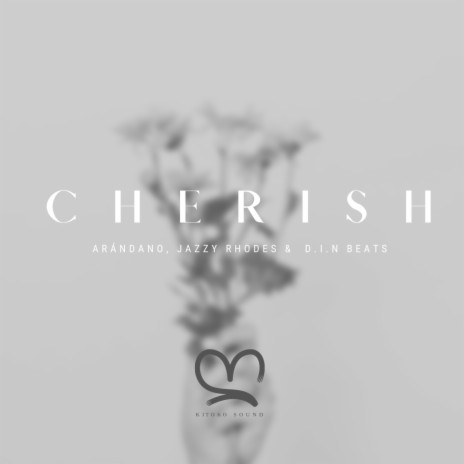 Cherish (feat. Kitoko Sound, Arándano & D.i.n BEATS) | Boomplay Music