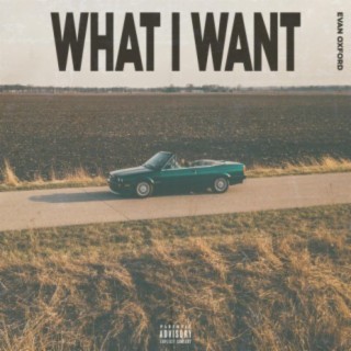 What I Want lyrics | Boomplay Music