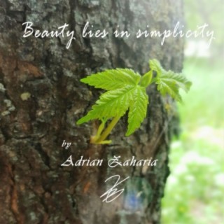 Beauty lies in simplicity