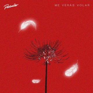 Me Verás Volar lyrics | Boomplay Music