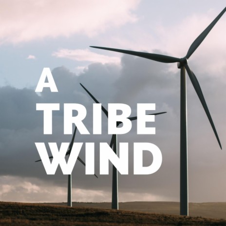 A tribe wind