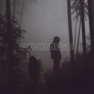 Promise