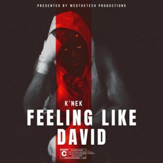 Feeling Like David lyrics | Boomplay Music