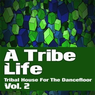 A Tribe Life. 2 - Tribal House for the Dancefloor