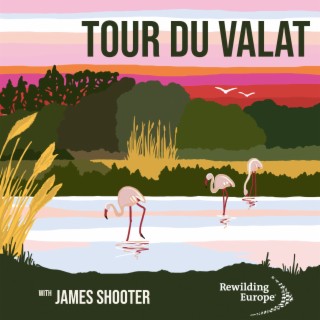 #4 Tour du Valat - France