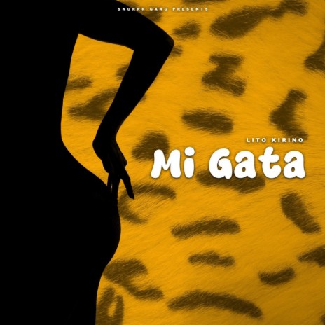 Mi Gata | Boomplay Music