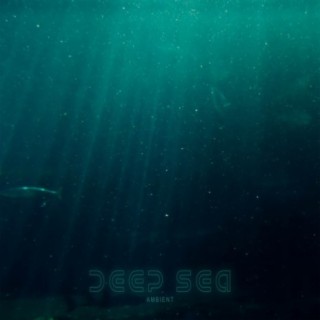 Deep Sea Ambient