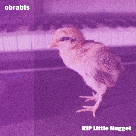 RIP Little Nugget | Boomplay Music