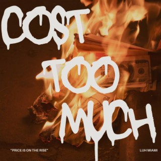 Cost Too Much
