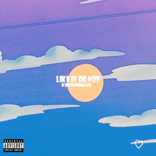 Like It or Not lyrics | Boomplay Music