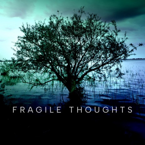 fragile thoughts