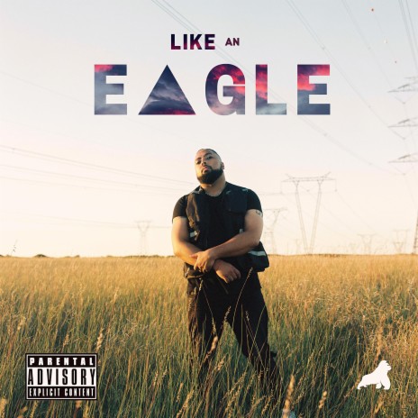 Like An Eagle ft. TRP Don Gy | Boomplay Music