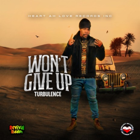 Won't Give Up | Boomplay Music