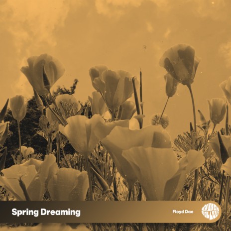 Spring Dreaming | Boomplay Music