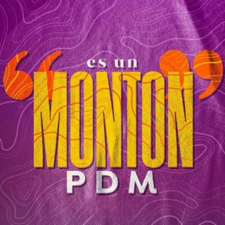 Es Un Monton (En vivo)