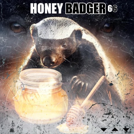 Honey Badger 66