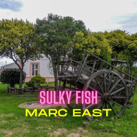 Sulky Fish | Boomplay Music