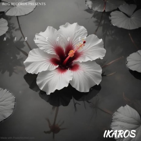 HIBISCUS | Boomplay Music