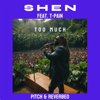 Too Much (feat. T-Pain) (Pitch & Reverbed)