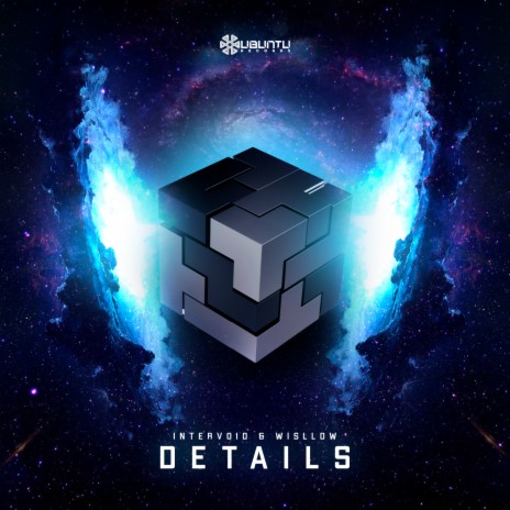 Details ft. Wisllow | Boomplay Music