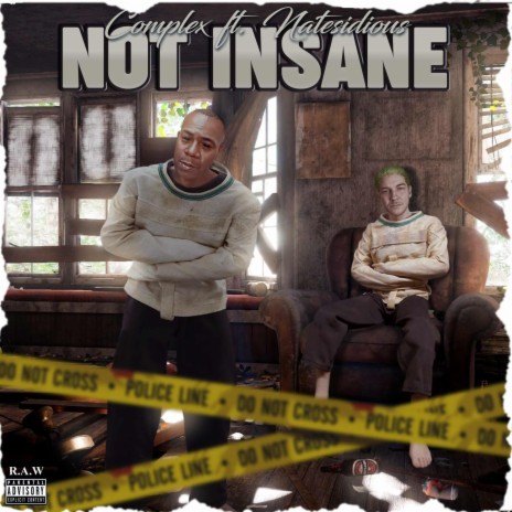 Not Insane | Boomplay Music