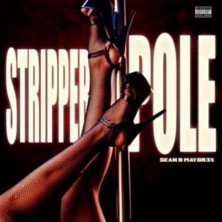 STRIPPER POLE