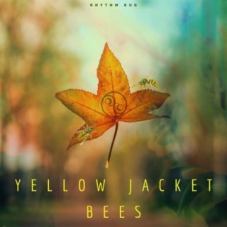 YELLOW JACKET BEES