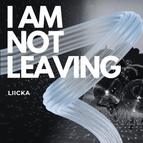 I Am Not Leaving | Boomplay Music