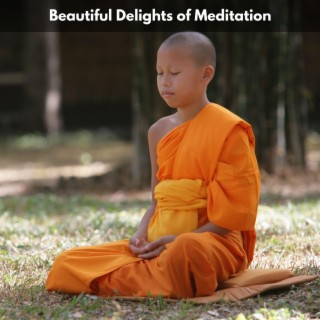 Beautiful Delights of Meditation