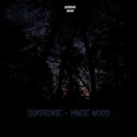 Magic Wood | Boomplay Music