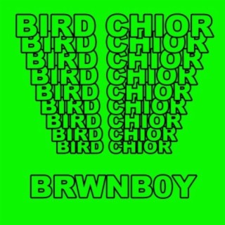 Bird Chior