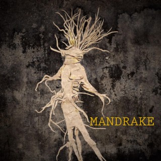 Mandrake