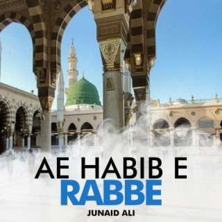 Ae Habib e Rabbe