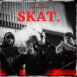 SKAT.