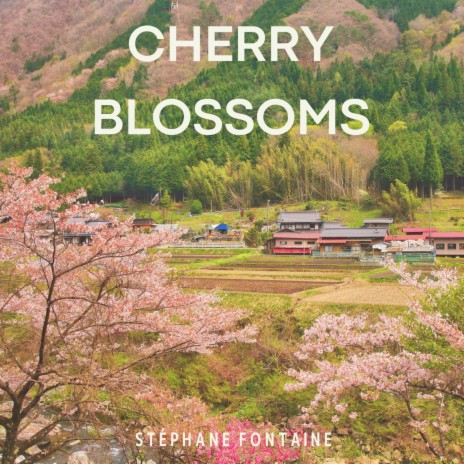 Cherry Blossoms | Boomplay Music