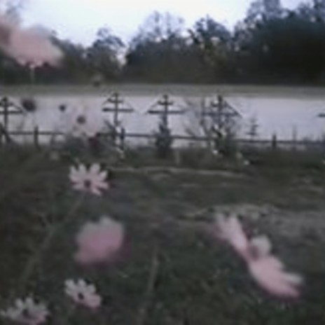 cemetery ft. dollreal & lavendr