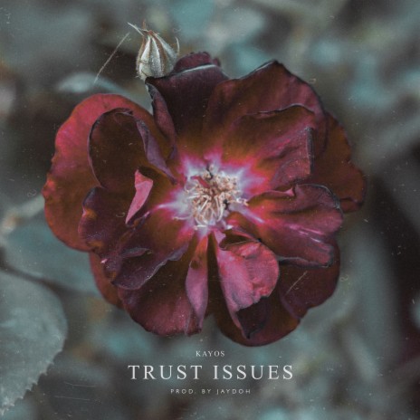 Trust Issues | Boomplay Music