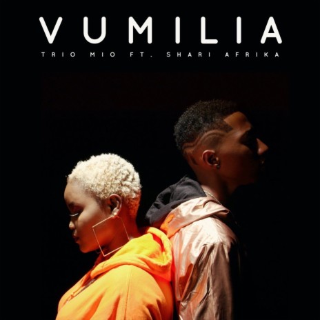 Vumilia ft. Shari Afrika