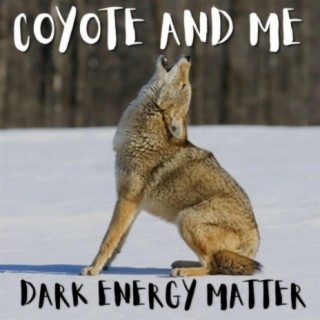 Coyote and Me