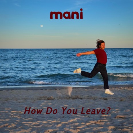 How Do You Leave? | Boomplay Music