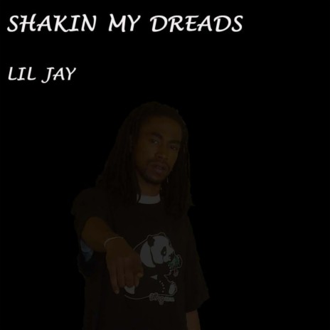 Shakin My Dreads | Boomplay Music