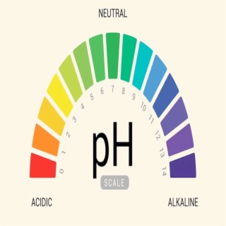 Ph-Balance