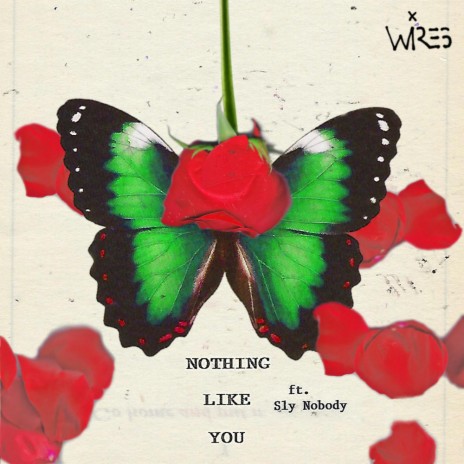 Nothing Like You (feat. Sly Nobody) | Boomplay Music