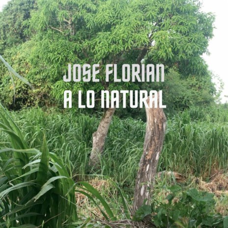 A Lo Natural | Boomplay Music