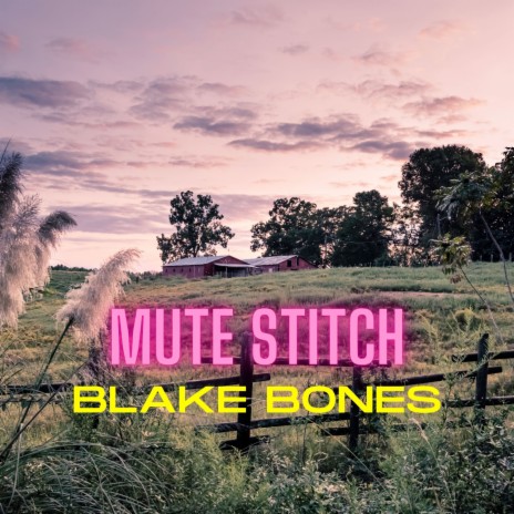 Mute Stitch | Boomplay Music